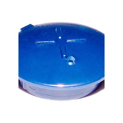 Picture of Cartridge Plug Pentair Rainbow High sqft R172014