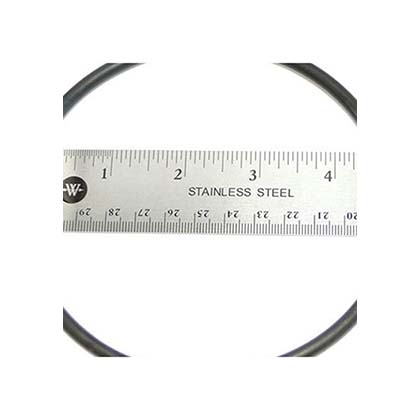 Picture of Nature2 Pro G Plus Chlorine Chamber O-Ring W13068