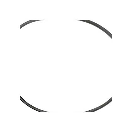 Picture of Tank Cord O-Ring (Pre 3/97) 270010060S