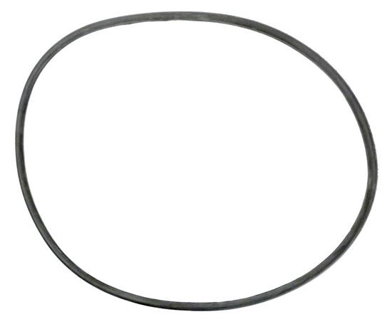 Picture of Tank Cord O-Ring (Pre 3/97) 270010060S