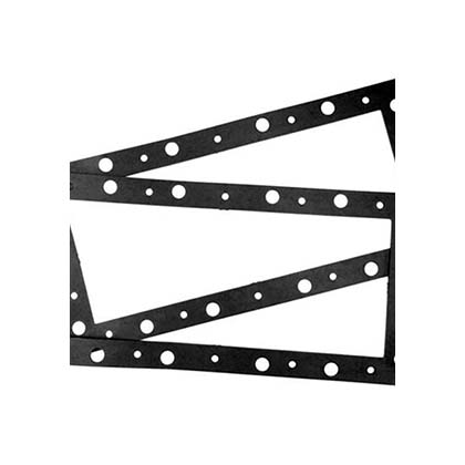 Picture of Gasket  WL/WC/WB Series Skimmers Quantity 2 13123005R2