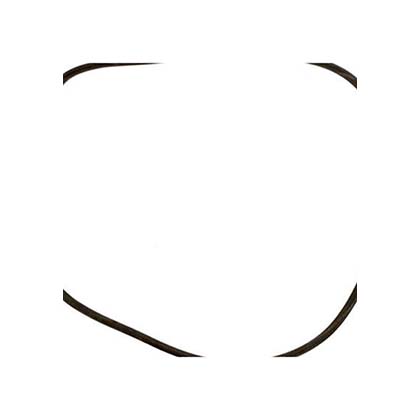 Picture of Filter Tank O-Ring Cl/Del R0357800