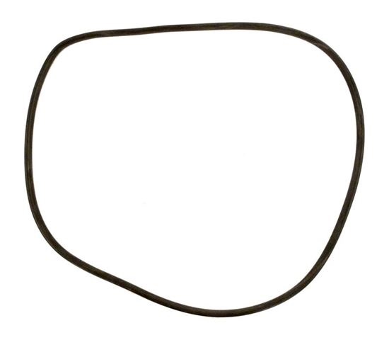 Picture of Filter Tank O-Ring Cl/Del R0357800