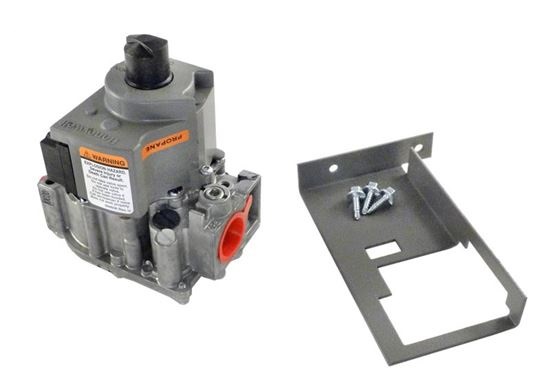 Picture of Gas Valve Lpg Model All LRZE, LP R0494600