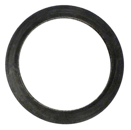Picture of Gasket Starlie/Pentair L2040