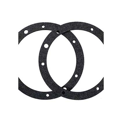 Picture of Gasket Set Pentair Small SS Niche Dbl Wall8-Hole3 Pk 79204603