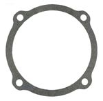 Picture of Gasket Pentair ORIng S04757