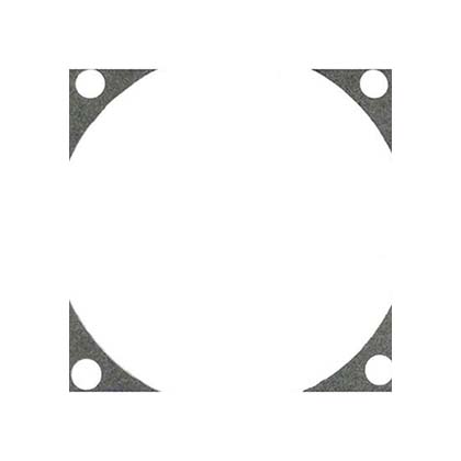 Picture of Gasket Pentair ORIng S04757