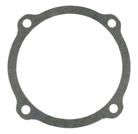 Picture of Gasket Starite/Pentair  S04757