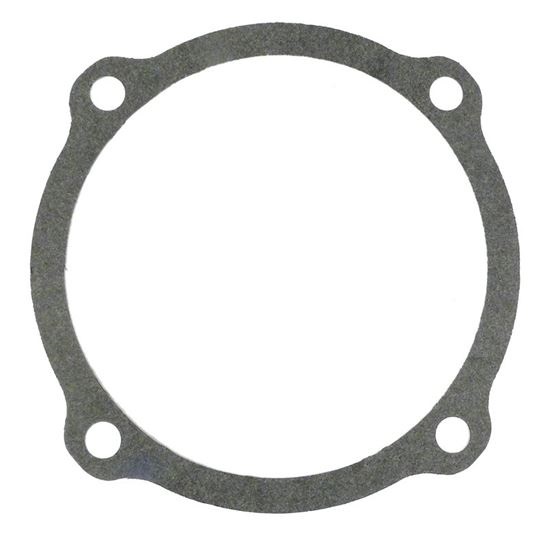 Picture of Gasket Pentair ORIng S04757