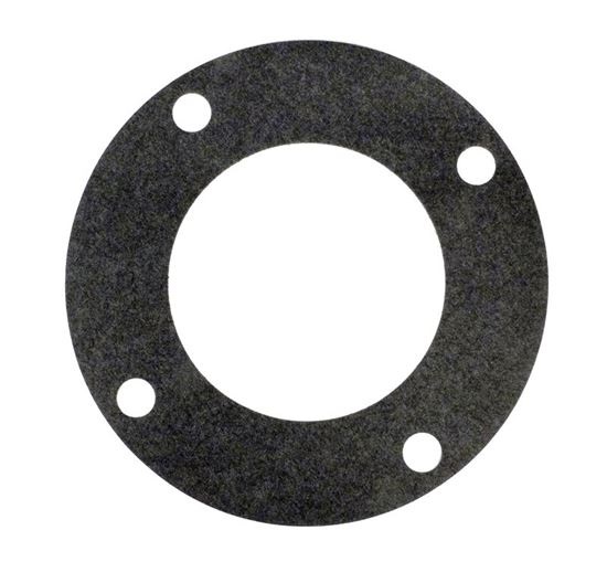 Picture of Gasket Pentair C-Series Flange 070943