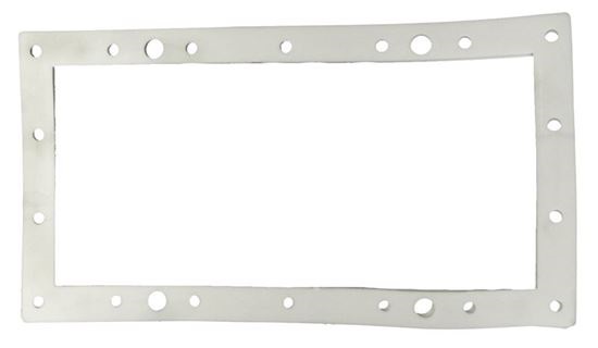 Picture of Gasket FloPro/II Wide Mouth Faceplate 7110070