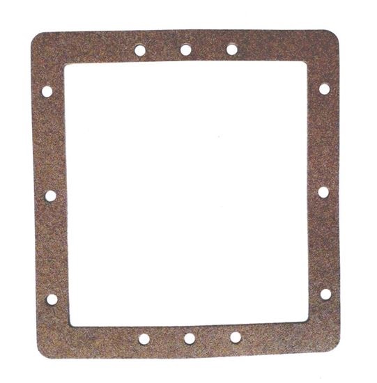 Picture of Gasket Pentair American Products FAS Skimmer Faceplate Front 85003400
