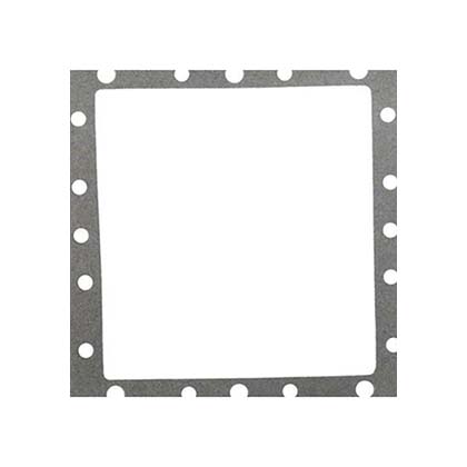 Picture of Gasket FloPro/Front Access Skim Filter Faceplate 8061040