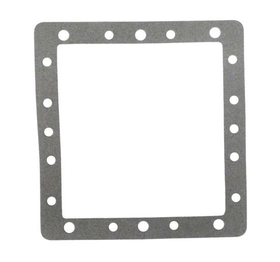 Picture of Gasket FloPro/Front Access Skim Filter Faceplate 8061040
