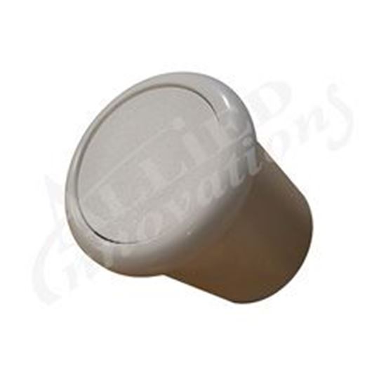 Picture of Air button: flush, white-b318wa  6969