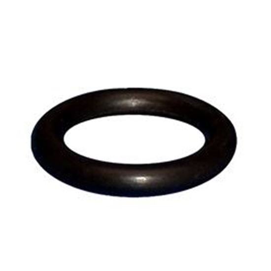 Picture of Hi limit o-ring watkins hi limit-34879