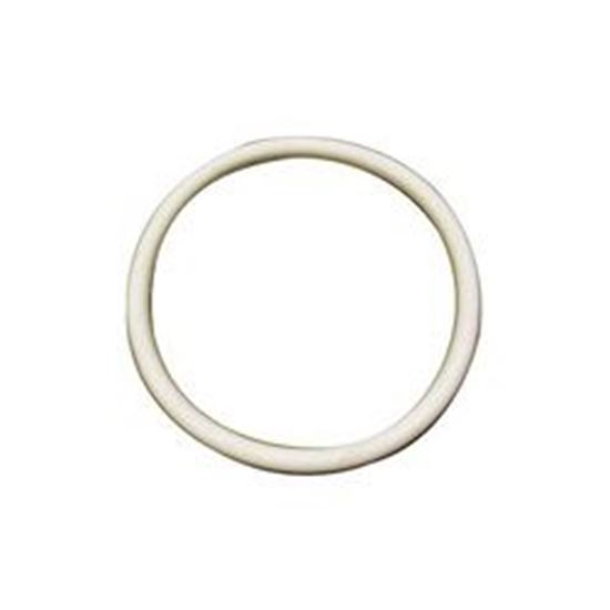 Picture of O-Ring Filter Suction Fitting Sundance 2" 6540-511