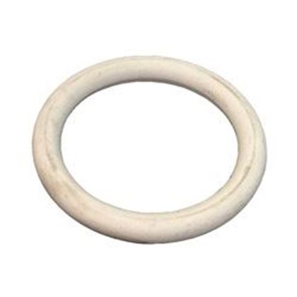 Picture of O-Ring, Wall Flange, Sundance, Pulsator 6660-002