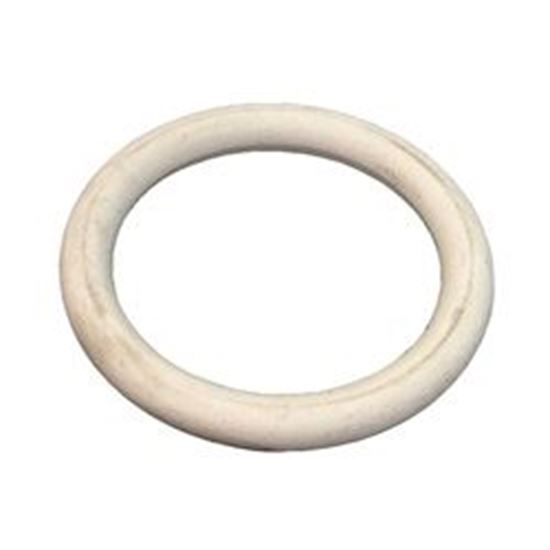 Picture of O-Ring, Wall Flange, Sundance, Pulsator 6660-002