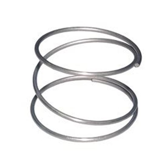 Picture of Jet part spring for mini jet wall fitting-20345-v