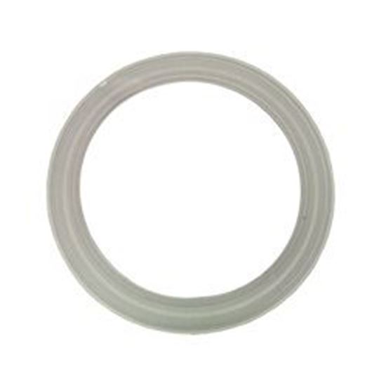 Picture of Jet gasket diverter jet ap / pentair 2 port 47224000