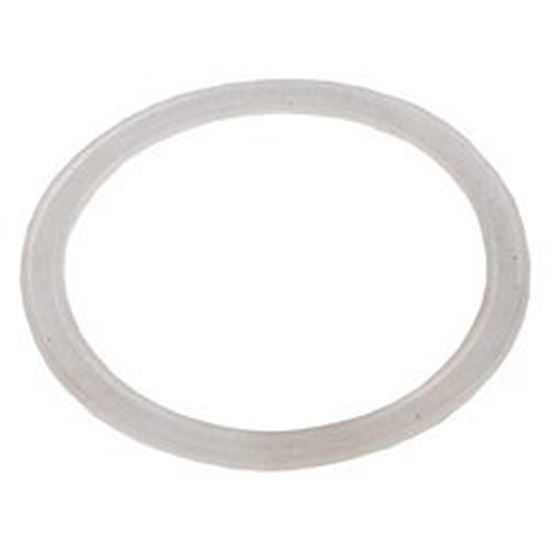 Picture of Gasket, Wall Fitting, Waterway, Poly Jet 711-1750