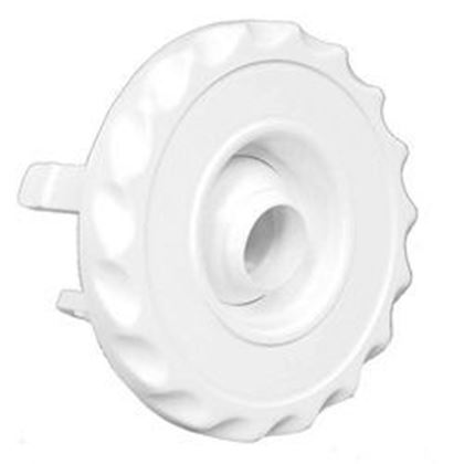 Picture of Waterway Deluxe Mini Directional Jet Internal 2-1/2" 224-1000