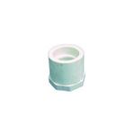 Picture of Fitting PVC Reducer Bushing 2"Spg x 1"FPT 438-249