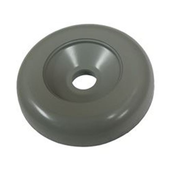 Picture of Cap, Diverter Valve 2" Top Access, For "S" Style, Gray 602-3847