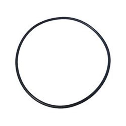 Picture of Magic Plastics Valve O-Ring 0301-154