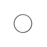 Picture of Waterway Valve Body (Cap) O-Ring 805-0143
