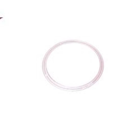 Picture of Waterway Valve Gasket 711-3050