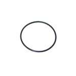 Picture of Waterway Union O-Ring 805-0145