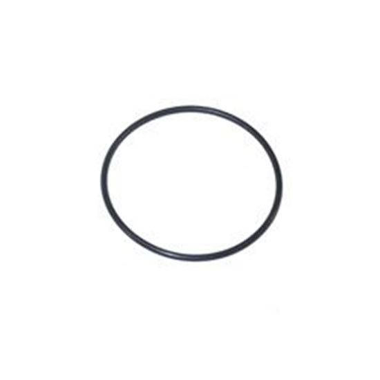 Picture of Waterway Union O-Ring 805-0145