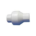 Picture of Check Valve, Cmp, Swing, 1" Slip X 1" Slip, White 25062-000