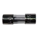 Picture of Fuse 2 Amp Slo Blo AG 229-002
