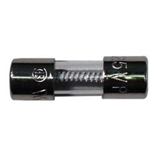 Picture of Fuse 2 Amp Slo Blo AG 229-002