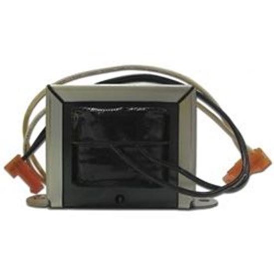 Picture of Gecko Transformer 9920-100225