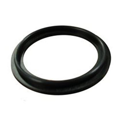 Picture of Waterway O-Ring/Gasket 711-4030