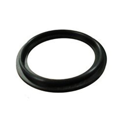 Picture of Waterway Pump/Heater Union O-Ring Gasket 711-6020