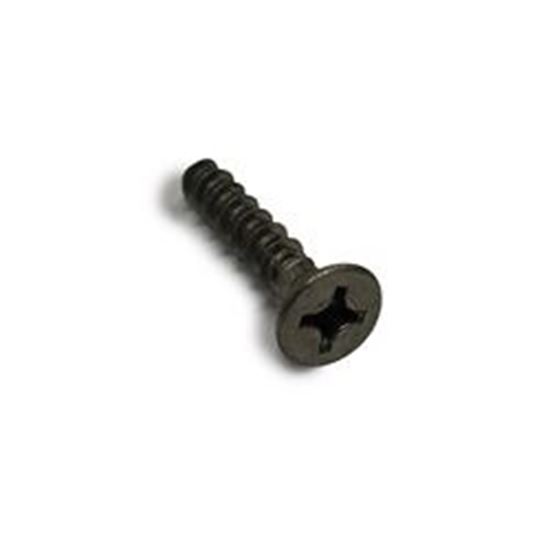 Picture of Screw Pentair Rainbow DSF/Safety Skimmer 13-16 x 1-1/4" R172474