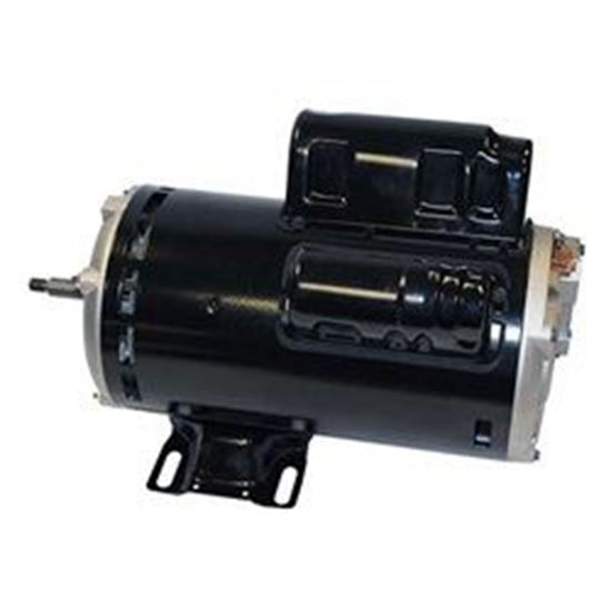 Picture of Pump motor 3.0hp 230v 2-speed 48 frame thrubolt-agl30fl2s