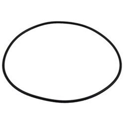 Picture of  Jacuzzi Piranha Theramax Theraflo O-Ring 6500-545