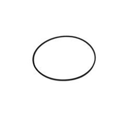 Picture of  Jacuzzi O-Ring 6500-290