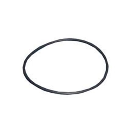 Picture of O-Ring Pump Housing Waterway Tiny Might 805-0152