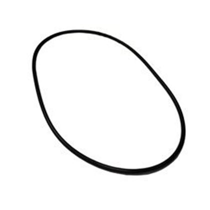 Picture of Waterway Executive O-Ring 805-0261