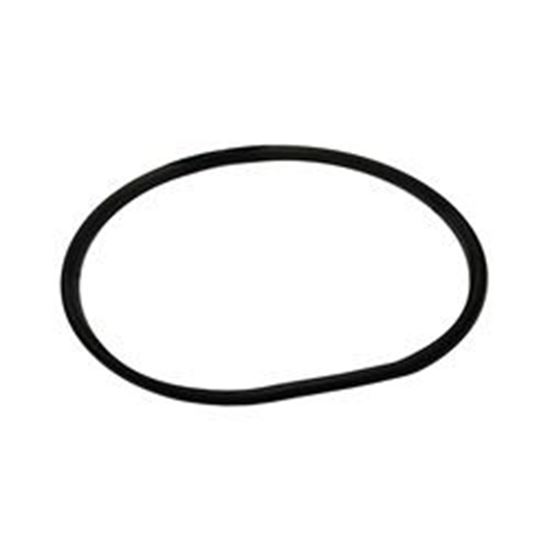 Picture of Waterway O-Ring 805-0256
