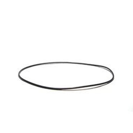 Picture of O-Ring Pump Volute Aqua-Flo XP2/XP2e/ 6-1/4" 92200301