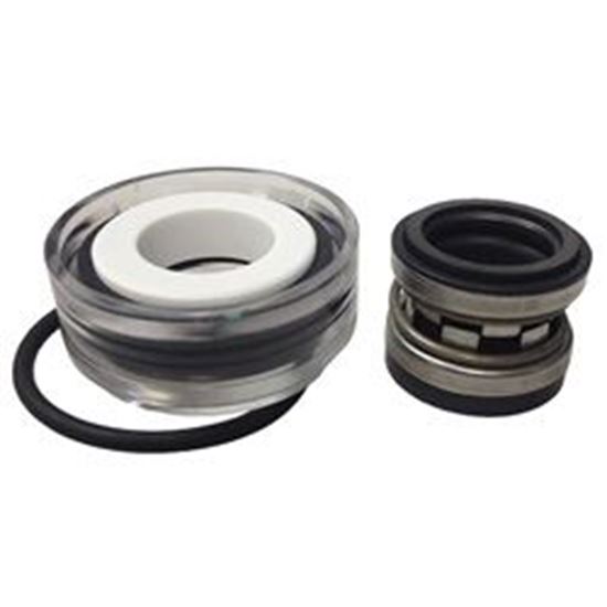 Picture of Pump seal, viton, salt/ozone, 5/8 ps-3869